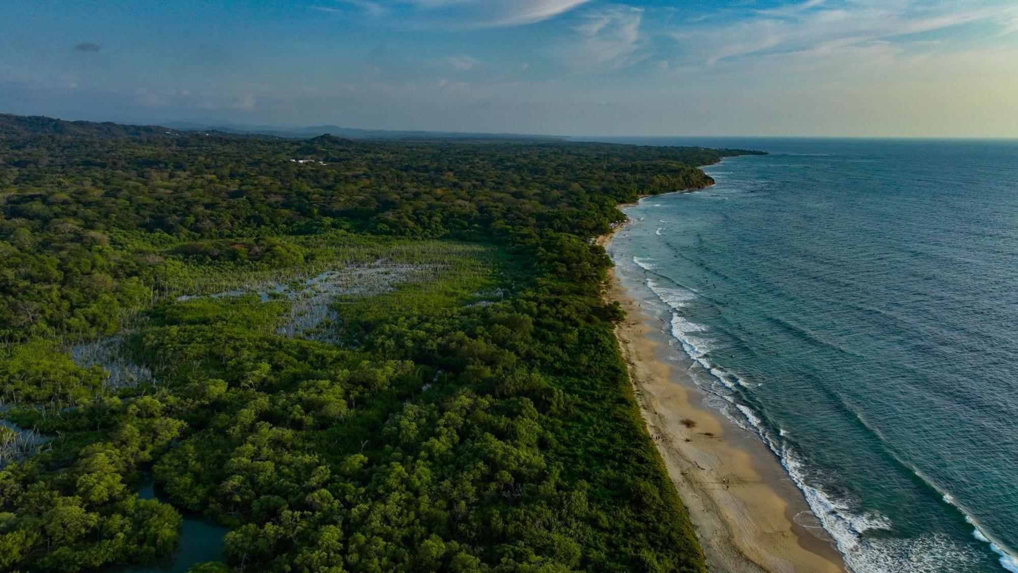 Beach Walk Costa Rica Playa Avellana Extérieur photo